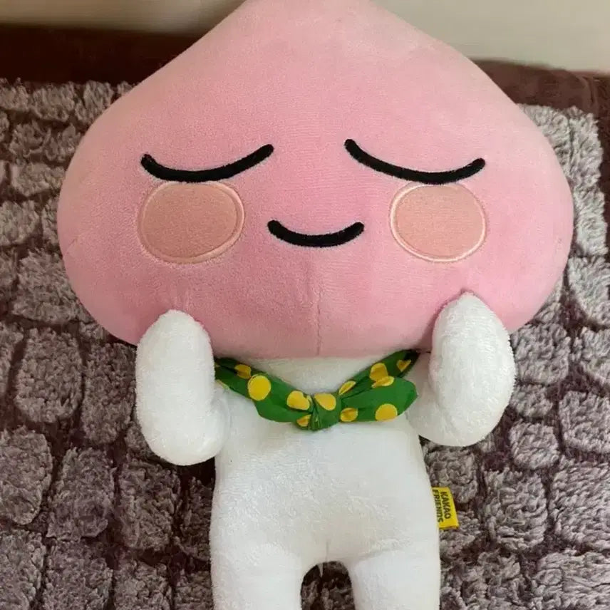 [BUNJANG] Kakao Friends Apeach Plush Doll / 카카오프렌즈 어피치 인형