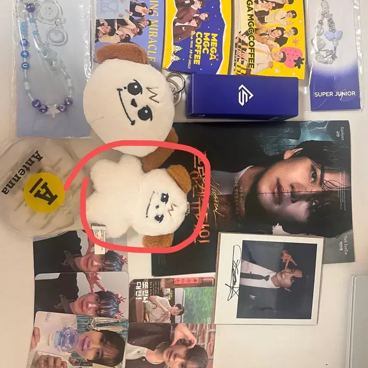 [BUNJANG] Super Junior Kyuhyun Kyuma Doll / 조규매 규현 규매 인형