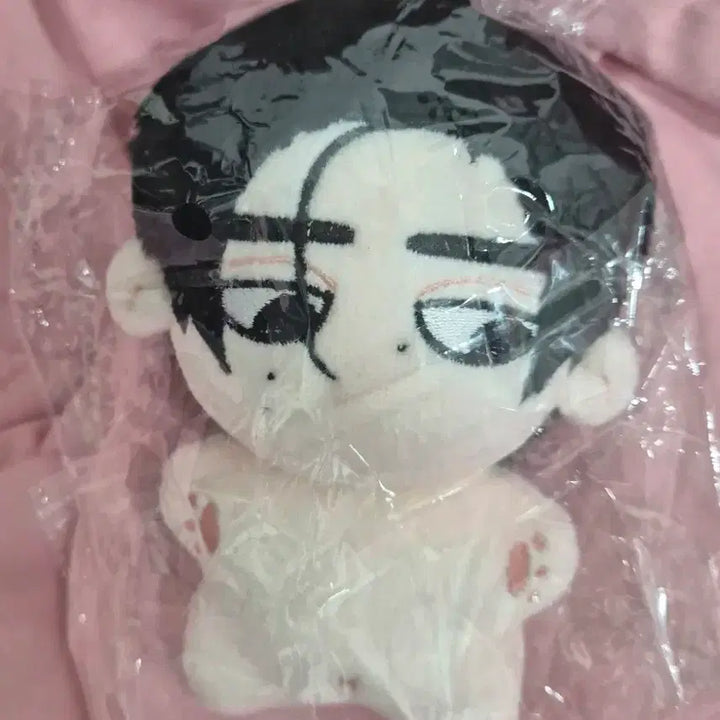 [BUNJANG] ENHYPEN Sunghoon 10cm Doll / 엔하이픈 성훈 10cm 솜인형 미개봉 판매