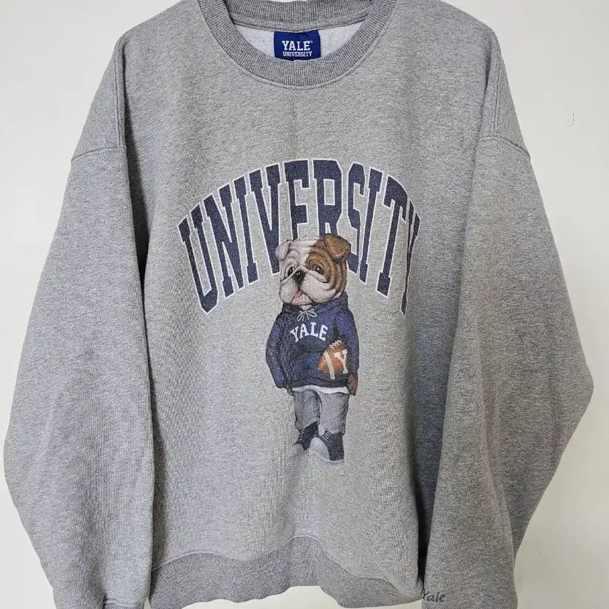 [BUNJANG] Yale University Bulldog Sweatshirt Grey S / 예일대학교 불독 맨투맨 티셔츠 회색 s