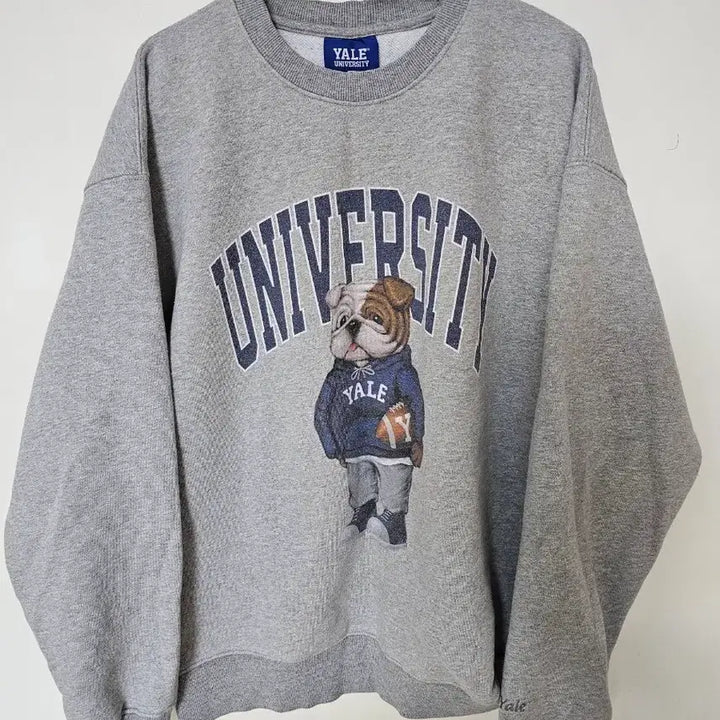 [BUNJANG] Yale University Bulldog Sweatshirt Grey S / 예일대학교 불독 맨투맨 티셔츠 회색 s