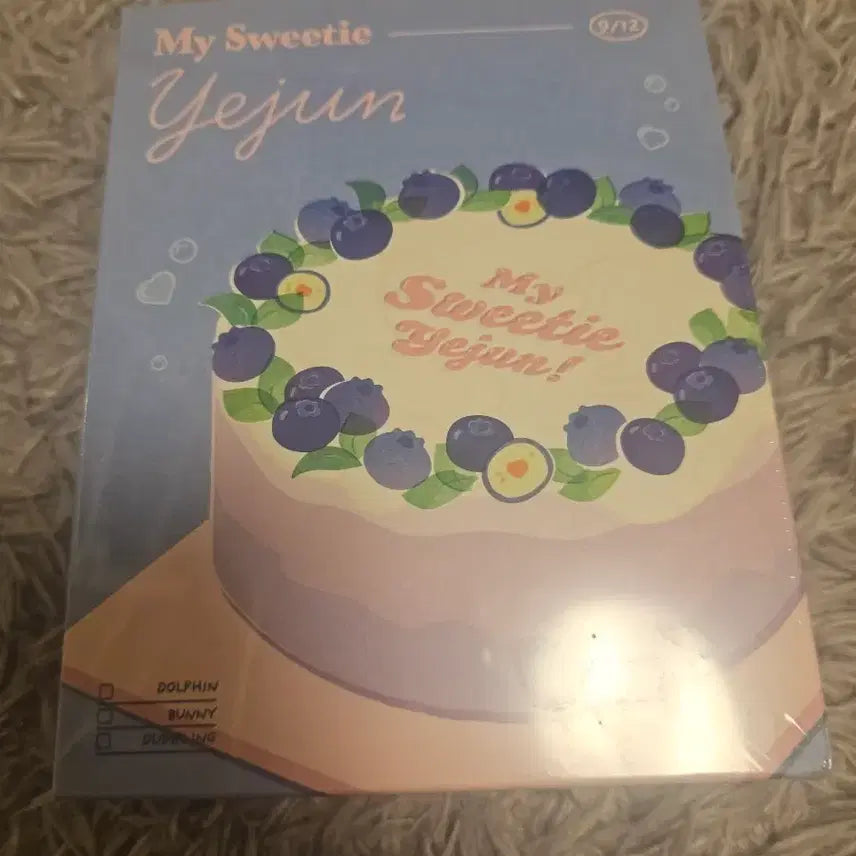 [BUNJANG] PLAVE Nam Ye Jun 2024 Birthday Kit Sealed / 플레이브 남예준 2024 생일키트 미개봉