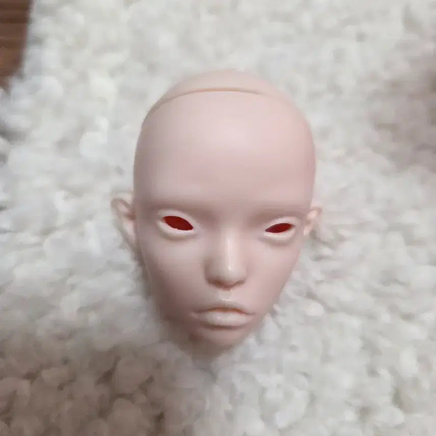 [SOLD OUT] 구관 인형헤드