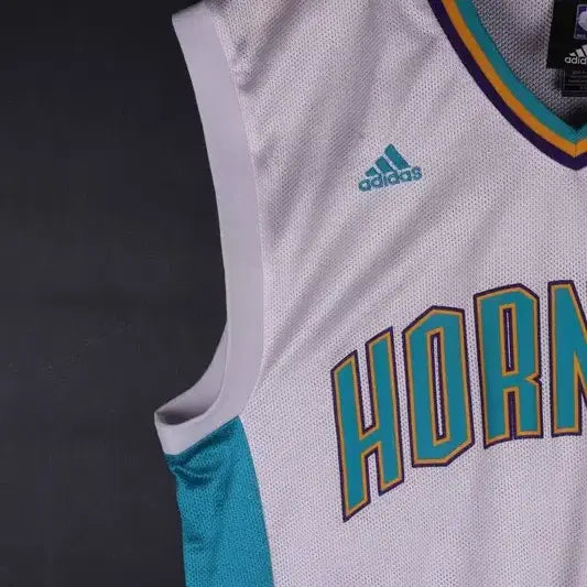 [BUNJANG] Adidas Charlotte Hornets Basketball Jersey / 아디다스 샬럿호넷츠 농구져지