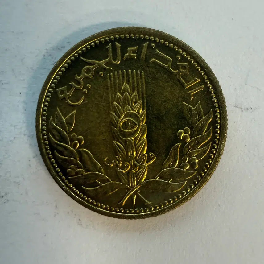 [BUNJANG] Syria 1971 5 Piastres Coin / 1971년 시리아  5 키르쉬 피아스트르 동전 S1528
