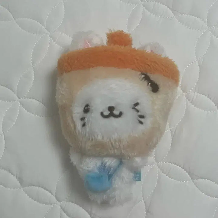 [BUNJANG] NCT WISH Yuushi Bubble Nyan Wishdoll / NCT WISH DOLL 엔시티위시 버블냥 위시돌 유우시 초판