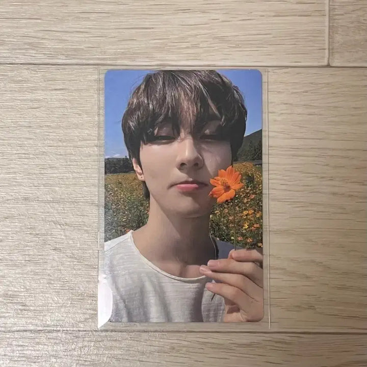 [SOLD OUT] 엔하이픈 오렌지블러드 정원 포카