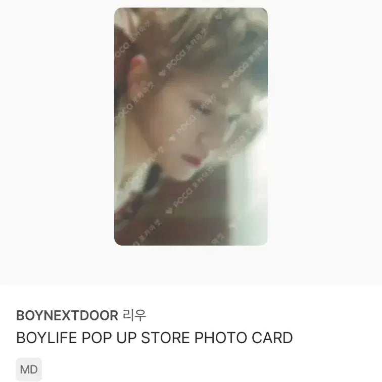 [SOLD OUT] 보이넥스트도어 BOYLIFE 보이라이프 리우 포카 5장 일괄