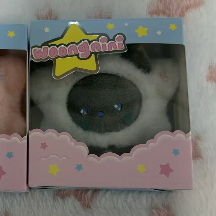 [SOLD OUT] (현물)제베원 제로베이스원 제로니 별제로니 투게더 위 샤인 김지웅 웅니니