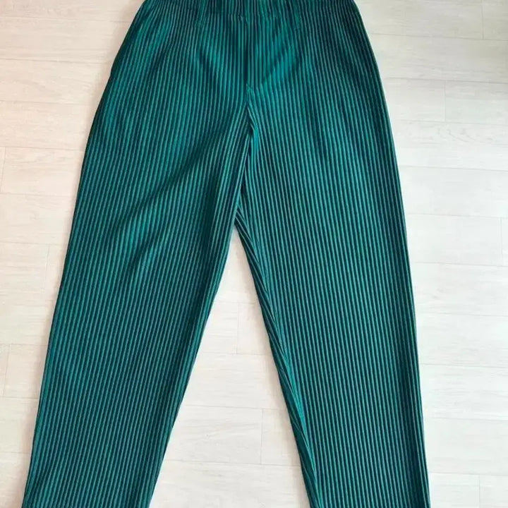 [BUNJANG] Homme Plissé Issey Miyake Green Pants Size 3 / 옴므플리세 바지 녹색 3번사이즈