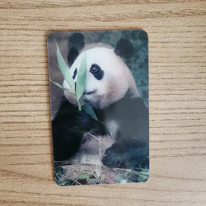 [BUNJANG] Fu Bao Lenticular Photocard / 푸바오 렌티큘러 포토카드