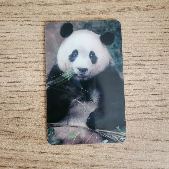 [BUNJANG] Fu Bao Lenticular Photocard / 푸바오 렌티큘러 포토카드