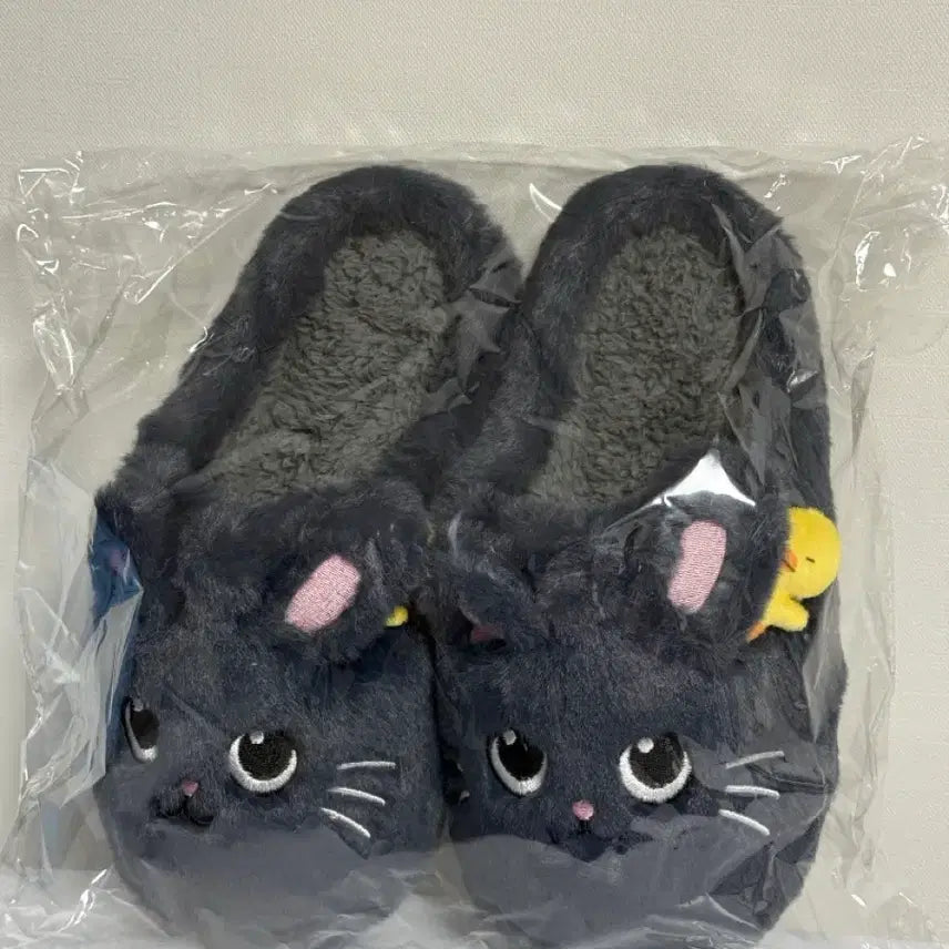 [BUNJANG] RIIZE Wonbin Tonyangduck Room Shoes (Sealed) / 라이즈 원빈 토냥덕 룸슈즈 미개봉