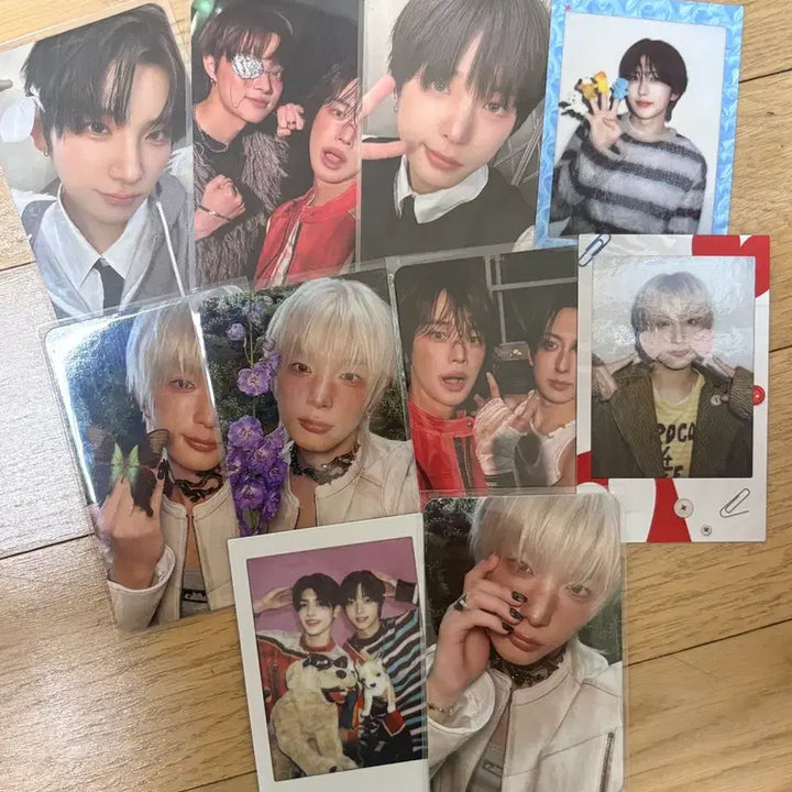 [BUNJANG] ENHYPEN Back To You Photocard Bundle Set / 앤팀 백투라 포카 하루아 유마 의주 후마 케이 마키 시그 일괄 양도