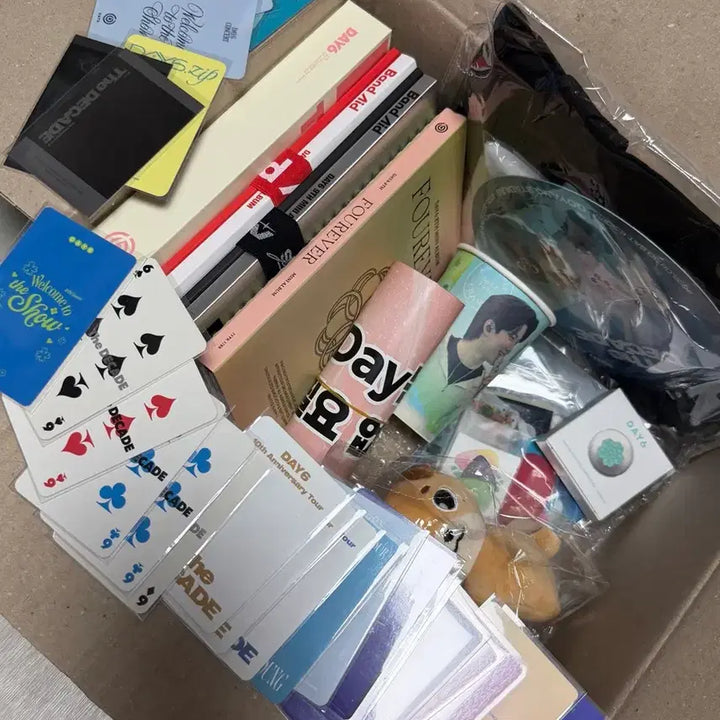 [BUNJANG] DAY6 Bundle Set: Photocard, Confetti, Concert Slogan, DENIMALZ, Custom Album / 일괄) 데이식스 포카 컨페티 입장 슬로건 콘서트 데니멀즈 커스텀 앨범