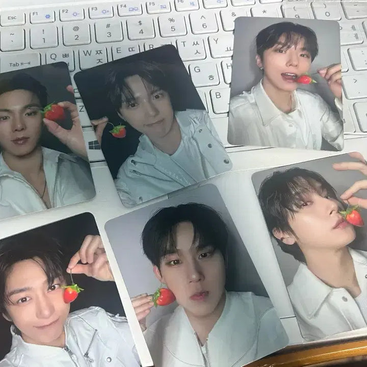[SOLD OUT] 몬스타엑스 넥서스 콘서트 몬베베 온리 포카: 몬엑 막콘