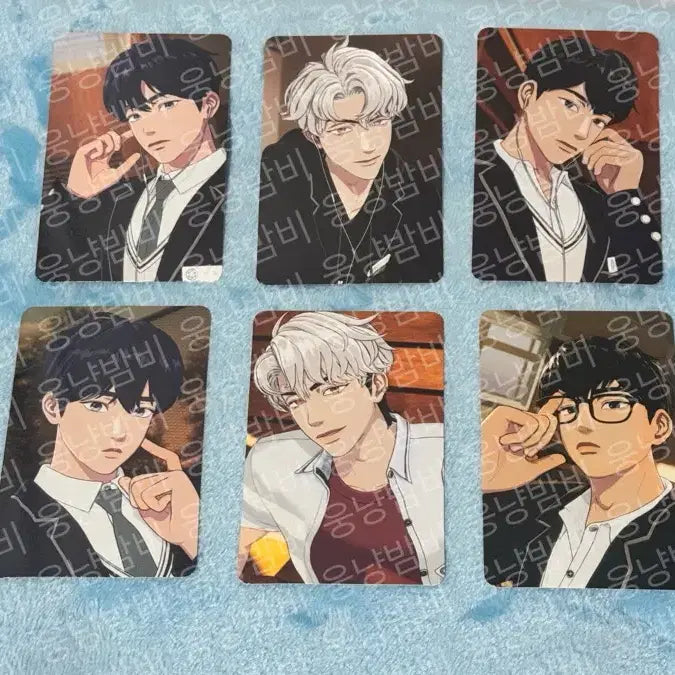 [BUNJANG] PLAVE 24 Signature Photocard Bundle Set / [일괄] 플레이브 24시그 포토카드
