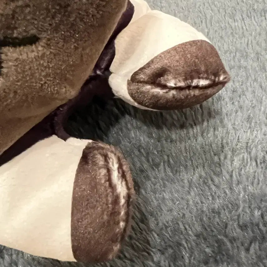 [BUNJANG] Choso Neso Plush / 쵸소우 네소베리 네코누이 인형(택포4.9)