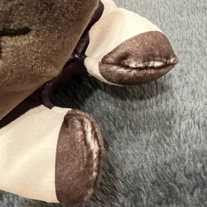 [BUNJANG] Choso Neso Plush / 쵸소우 네소베리 네코누이 인형(택포4.9)