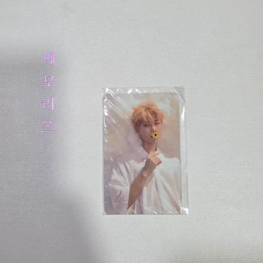 [SOLD OUT] bts 방탄 17 메모리즈 디비디 포카 poca 남준 rm