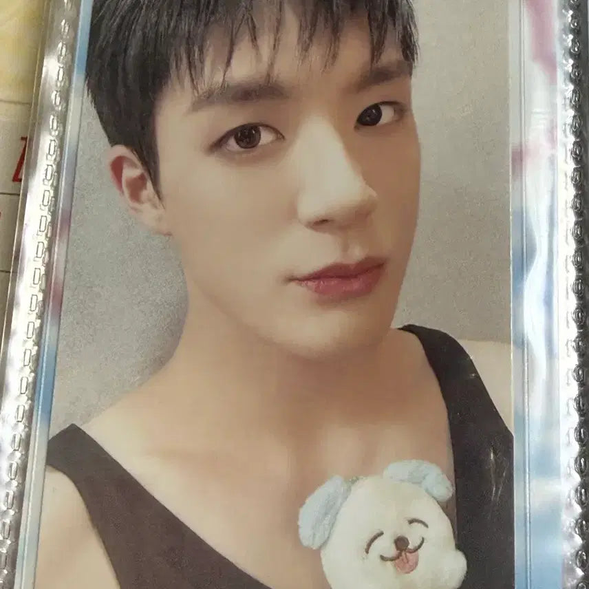 [BUNJANG] NCT Dream Jeno Mungyi Doll / nctdream 엔드림 제노 므엉이 양도