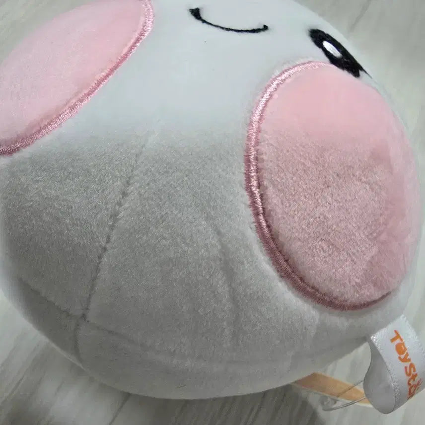 [BUNJANG] Park Jihoon Wingdo Doll / 박지훈 인형 윙두