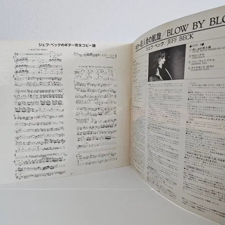 [BUNJANG] Jeff Beck Blow by Blow LP Album / 제프 벡 Blow by Blow LP 음반