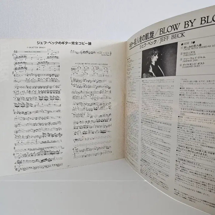 [BUNJANG] Jeff Beck Blow by Blow LP Album / 제프 벡 Blow by Blow LP 음반