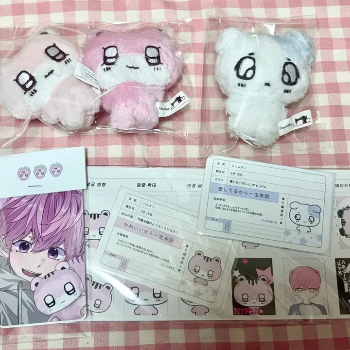 [BUNJANG] PLAVE Junghoon Photocard Bundle Set / 플부땅 바무땅 딸무땅 쭈니땅 양도