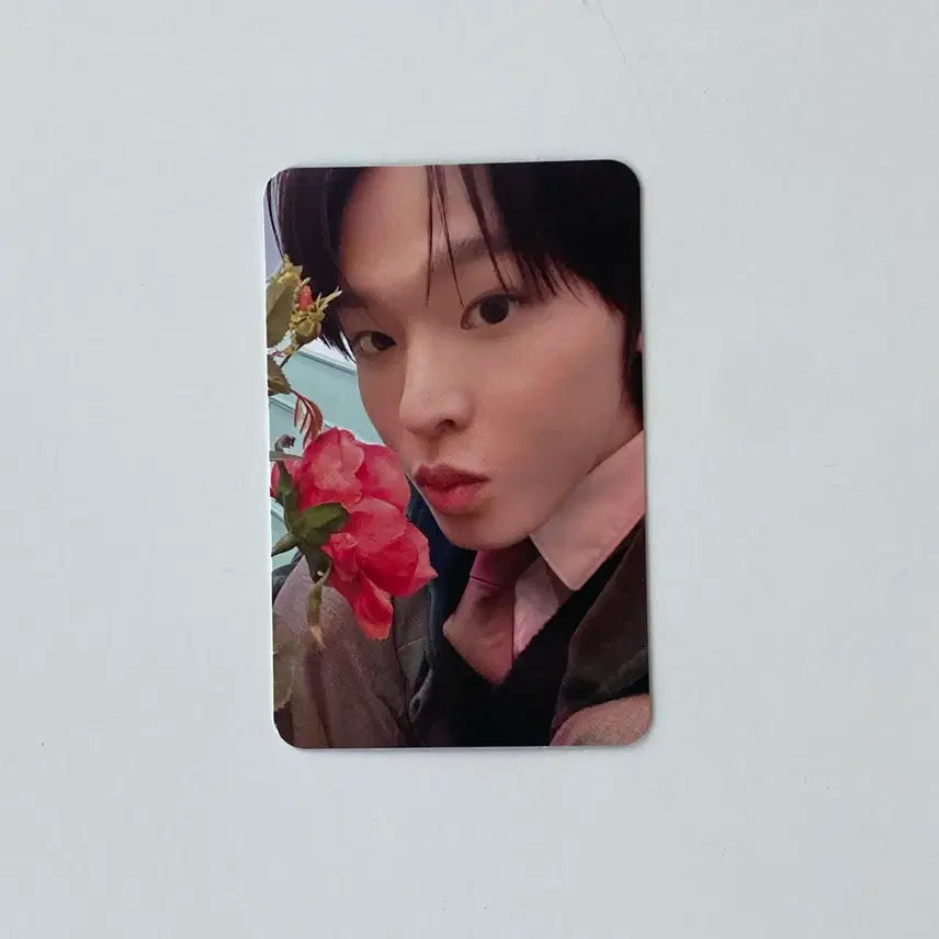 [BUNJANG] NCT WISH Riku Wishlist Photocard / [당일발송] 엔시티 위시 위시리스트 리쿠 포카