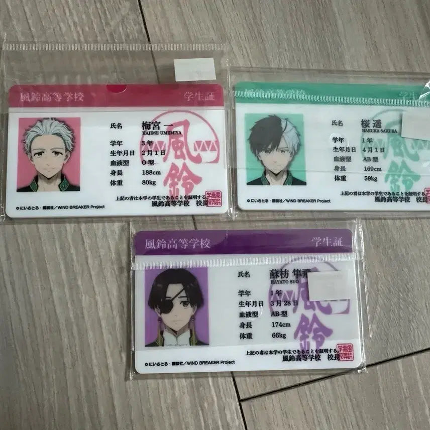 [BUNJANG] Weinn Student ID Card / 윈브레 학생증