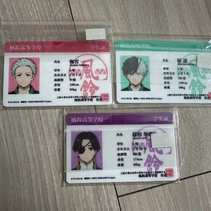 [BUNJANG] Weinn Student ID Card / 윈브레 학생증