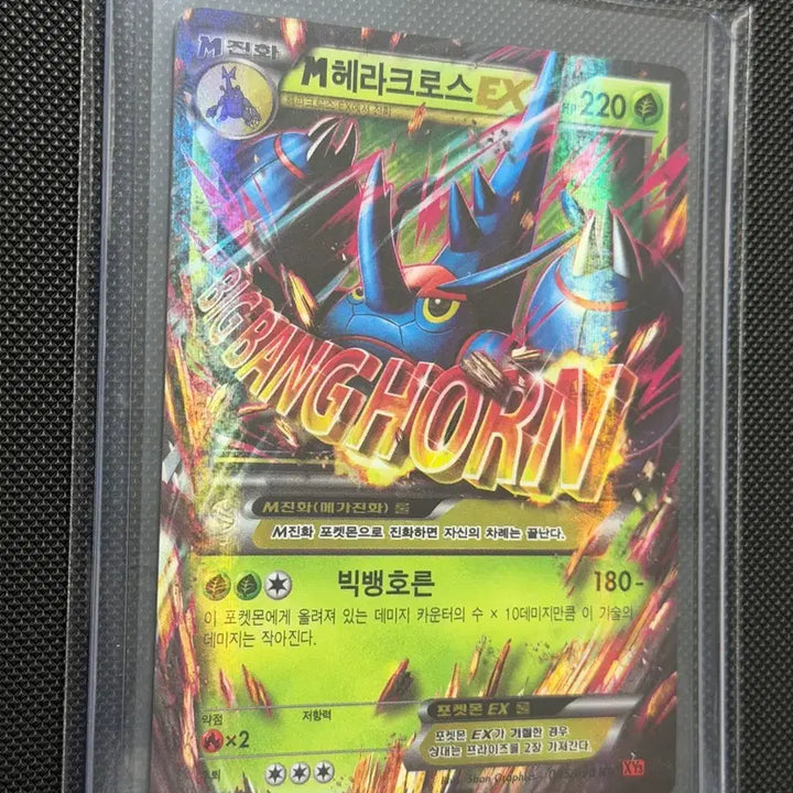 [BUNJANG] Pokemon M Heracross EX XY Classic Card / 포켓몬 M 헤라크로스 EX XY 고전카드 -2014-