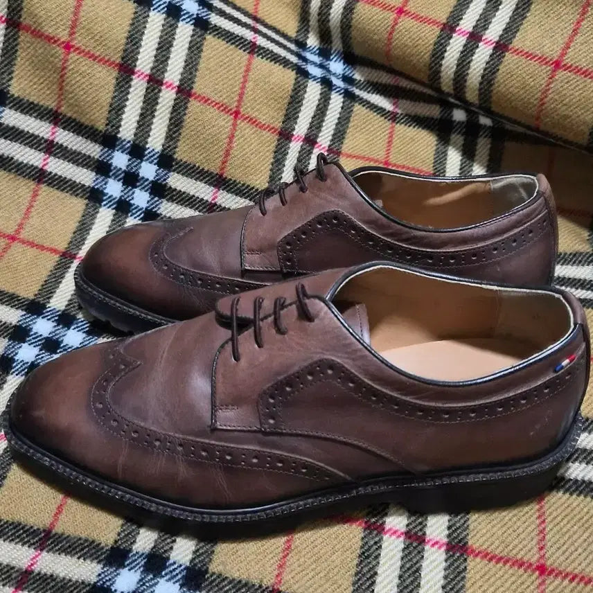 [BUNJANG] S.T. Dupont Classic Brown Wingtip Shoes / 에스티 듀퐁 클래식 브라운 구두