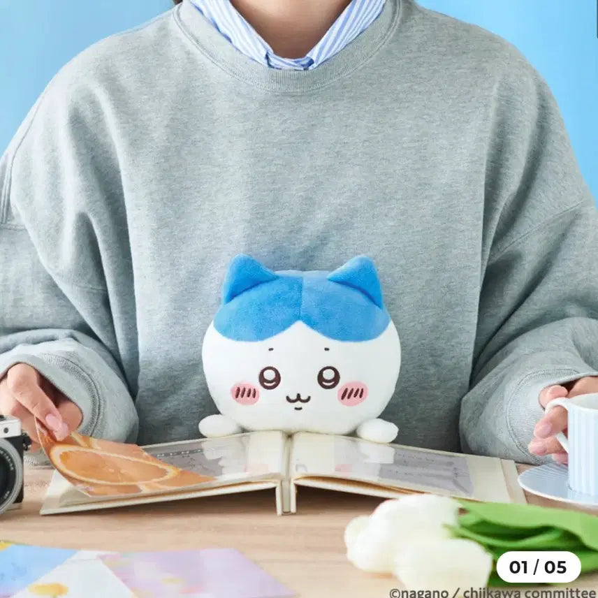 [BUNJANG] Hachitore Fuwaruzu Posture Correction Doll / 하치와레 후바루즈 자세교정 인형