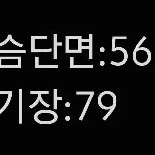 [SOLD OUT] [정품/100] 밀레 남성 경량패딩    JJ
