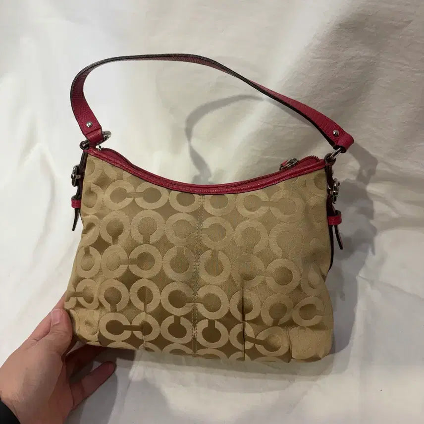 [BUNJANG] Coach Signature Hobo Shoulder Bag / 코치 시그니처 숄더백 호보백 가방