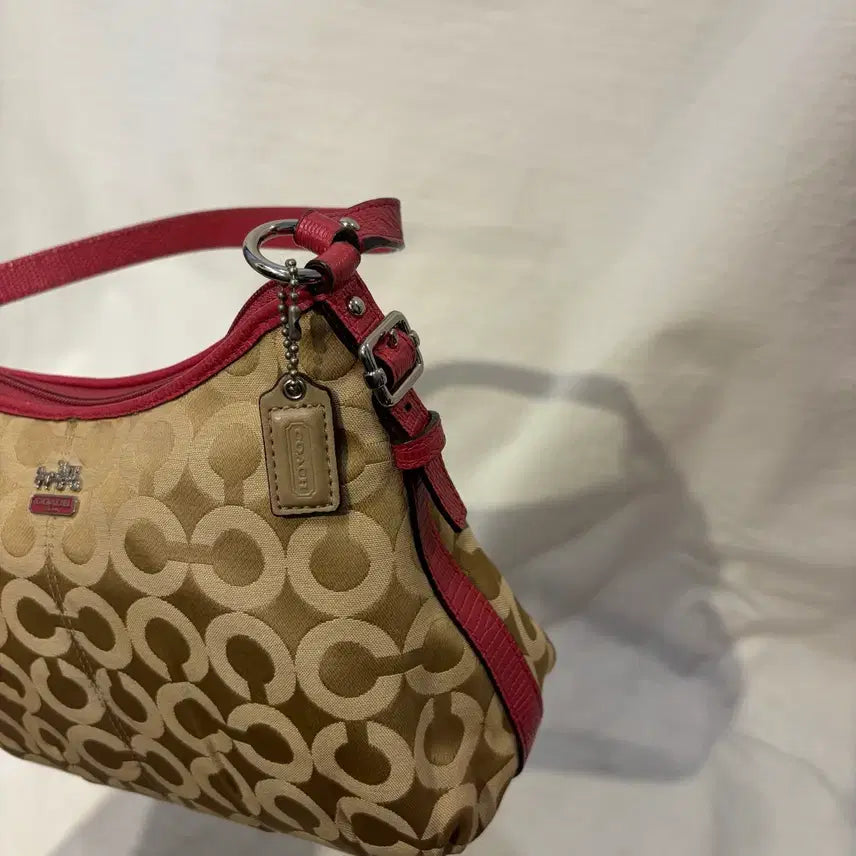 [BUNJANG] Coach Signature Hobo Shoulder Bag / 코치 시그니처 숄더백 호보백 가방