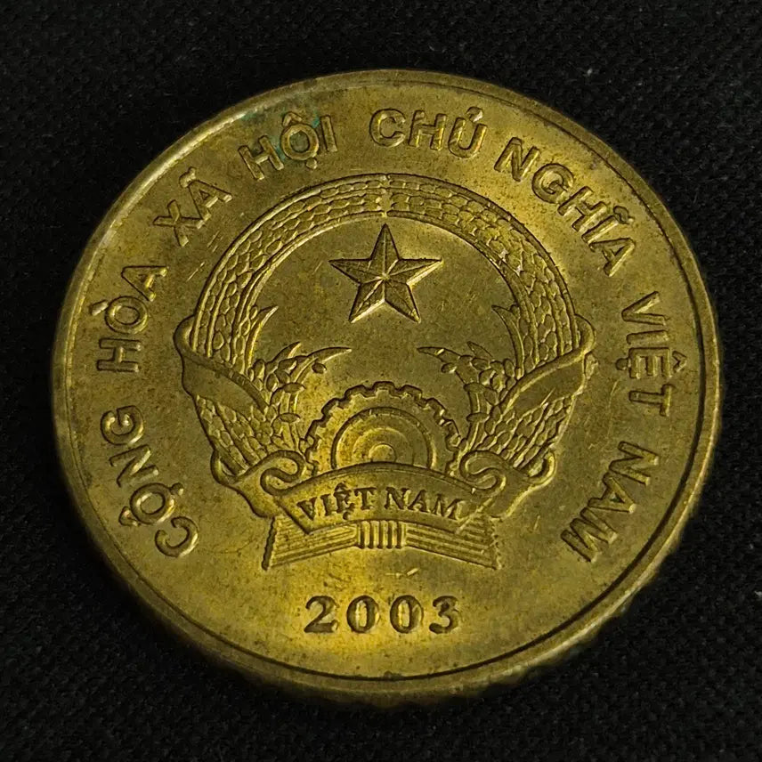 [BUNJANG] Vietnam 5000 Dong Coin (2003) / [EP. 1641] 2003년 베트남 5000동 동전