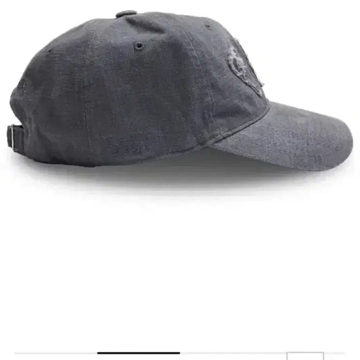 [BUNJANG] Private Neighbors Cap Charcoal / 프라이빗 네이버스 캡 차콜컬러 팝니다