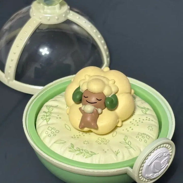 [BUNJANG] Pokemon Li&