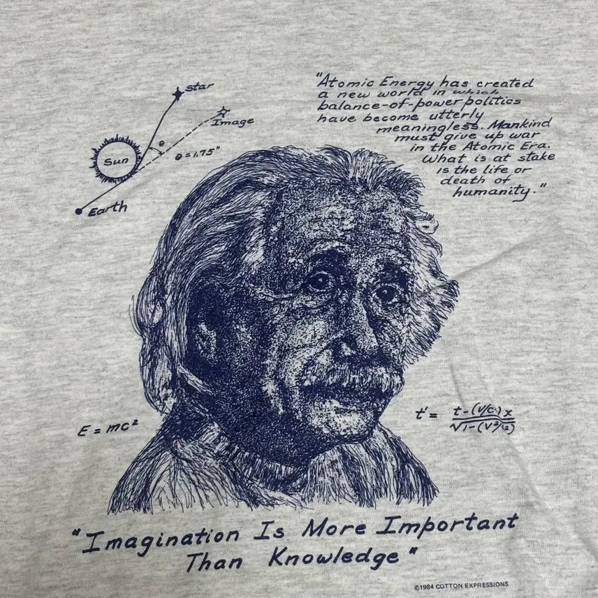 [BUNJANG] Einstein Oatmeal T-shirt / 아인슈타인 티셔츠 M