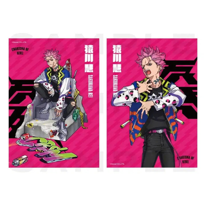 [BUNJANG] Charisma Saikawa Bromide Set / 카리스마 사루카와 브로마이드 세트