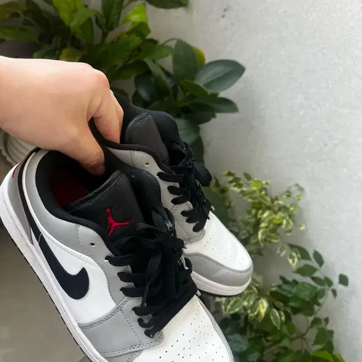 [BUNJANG] Nike Air Jordan 1 Low Smoke Grey / 나이키 조던1 로우 스모크 그레이