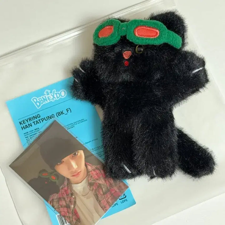 [BUNJANG] BOYNEXTDOOR Taesan 1st Generation Keyring / 보넥도 태산 쁘넥도 한탯풍 1기 키링 how