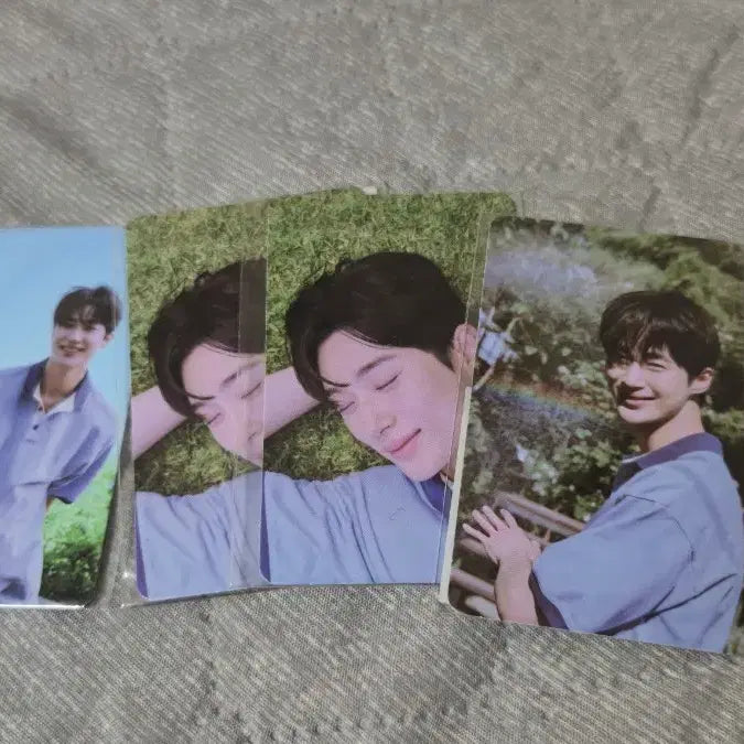 [BUNJANG] Physiogel Byun Woo Seok Photocard Bundle Set / 피지오겔 변우석포카 일괄