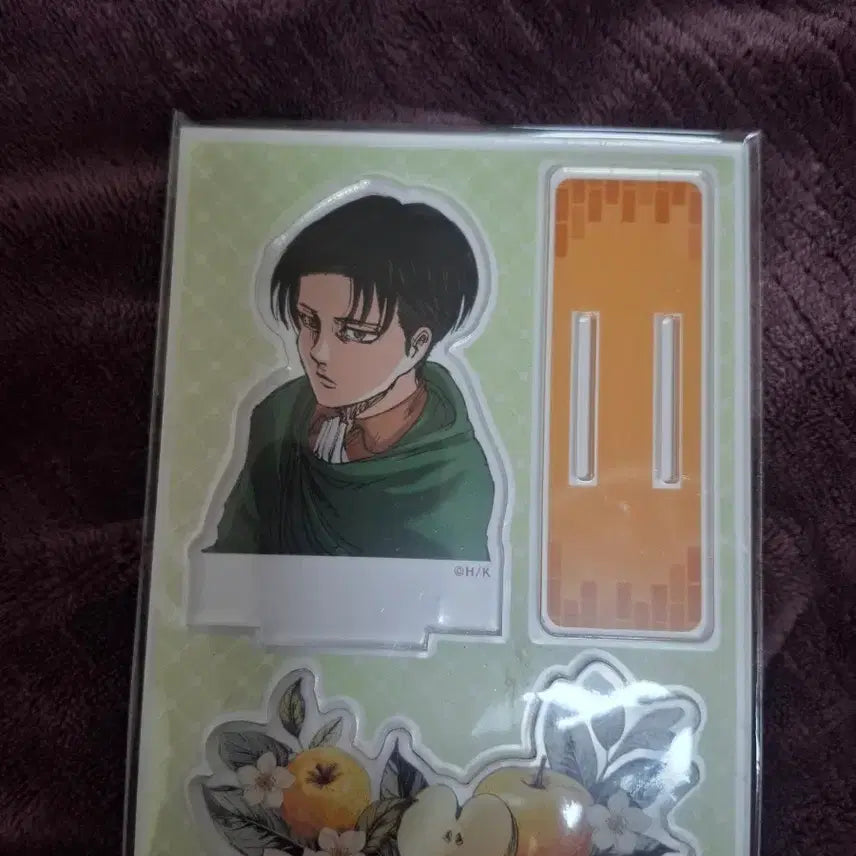 [BUNJANG] Hita Limited Attack on Titan Levi Acrylic Stand / 진격의 거인 히타 한정 리바이 아크릴