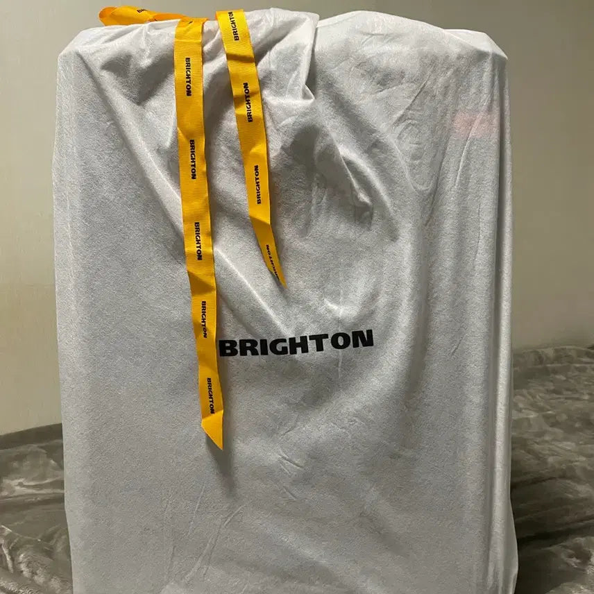 [BUNJANG] Brighton Dale 24-inch Frame Suitcase (Gray) / 브라이튼 데일 프레임 24인치 캐리어 (그레이)