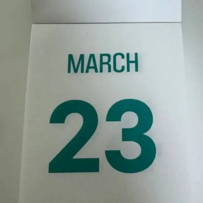 [BUNJANG] Saelo 365 Calendar / 새상품) 새로일력 달력 365 캘린더