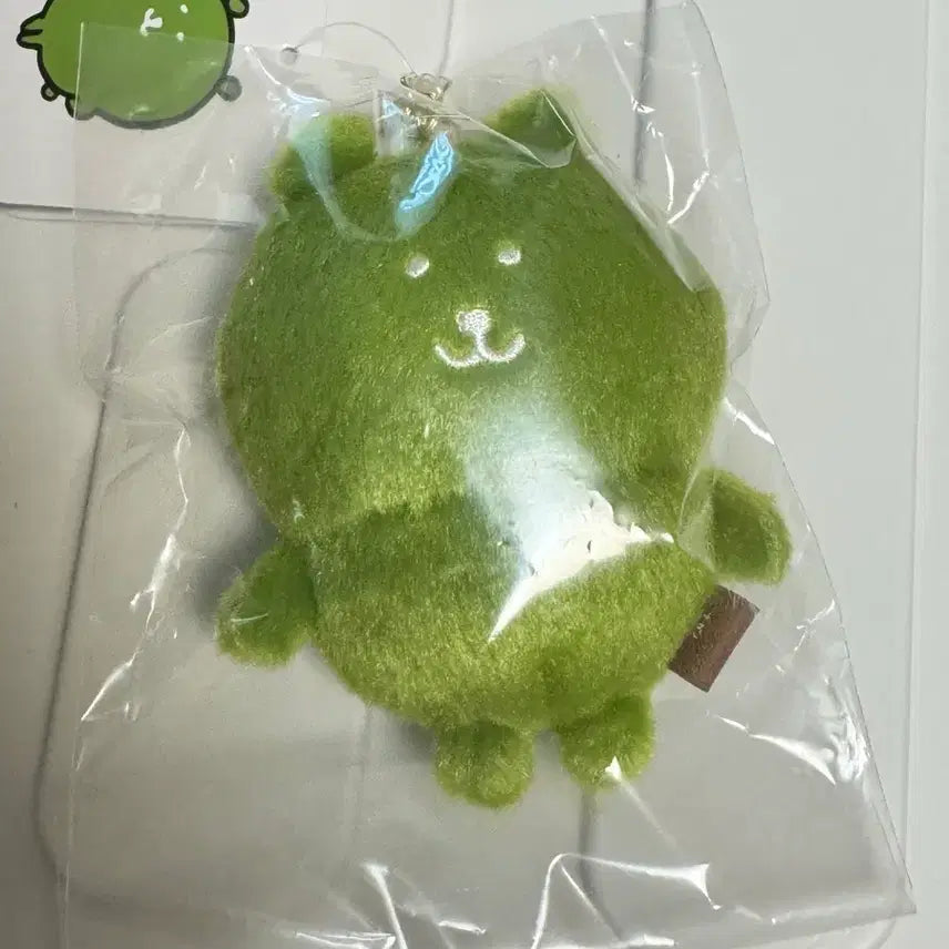 [BUNJANG] Naganomarket Nongdamgom Matcha Gom Damgom Keyring (Sealed) / [미개봉 새상품] 나가노마켓 농담곰 말차곰 담곰이
